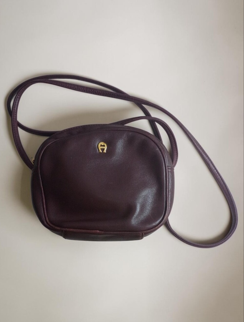 Vintage Etienne Aigner Crossbody Bag with Gold Tone Logo